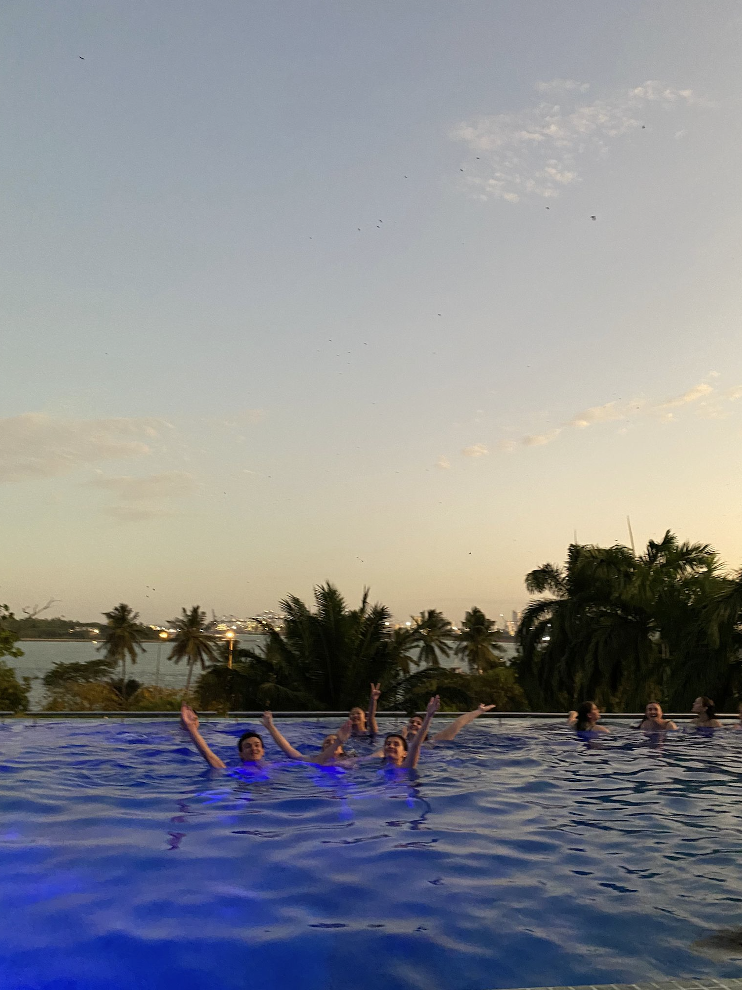 Several friends in a pool smiling with just their heads out of the water and arms extended excitedly. In the background there are palm trees and a port. 