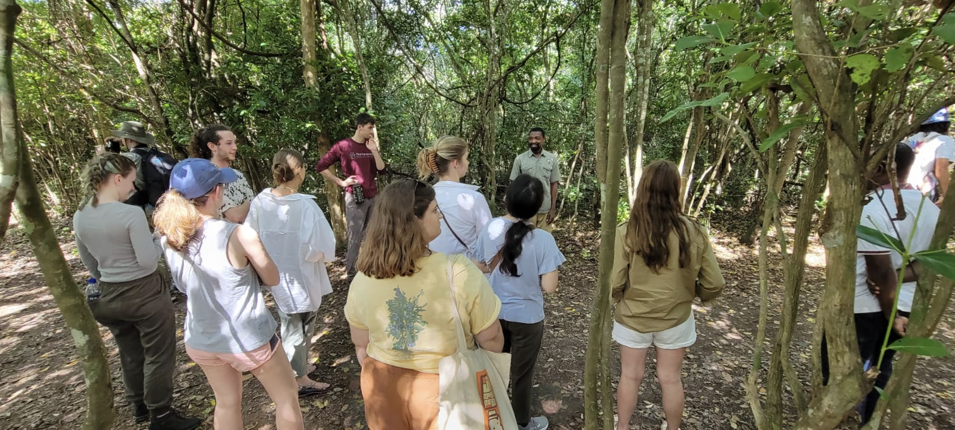 Students listening to tour guide in Jozani forest.