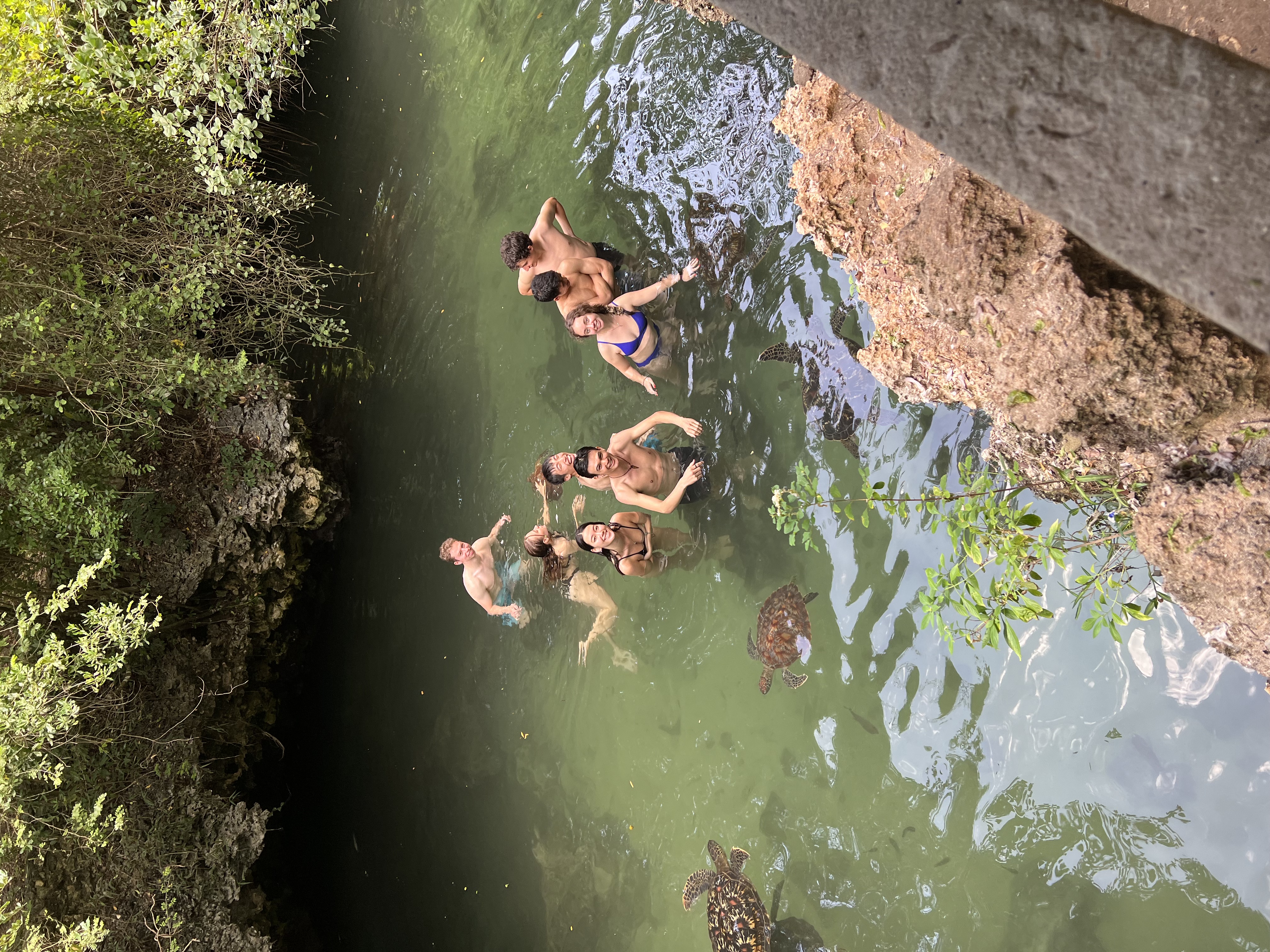 Friends in a fresh water spring surrounded by turtles. The friends are smiling at the camera.